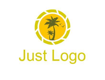 palm trees in sun shutter photography logo