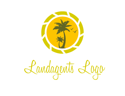 palm trees in sun shutter photography logo