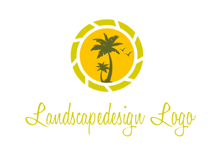 palm trees in sun shutter photography logo