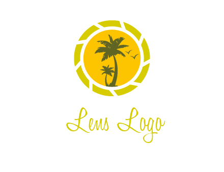 palm trees in sun shutter photography logo