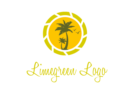 palm trees in sun shutter photography logo