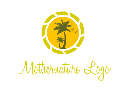 palm trees in sun shutter photography logo