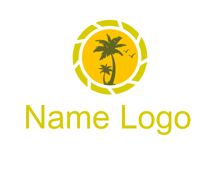 palm trees in sun shutter photography logo