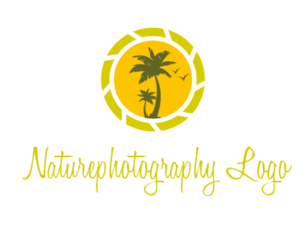 palm trees in sun shutter photography logo