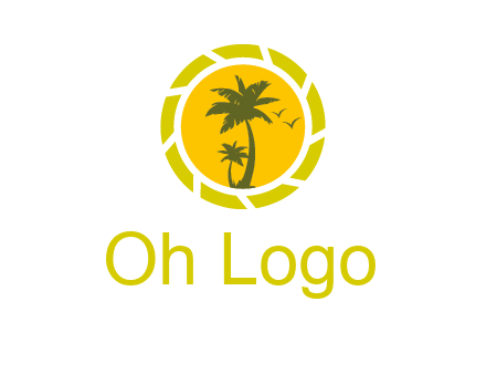 palm trees in sun shutter photography logo
