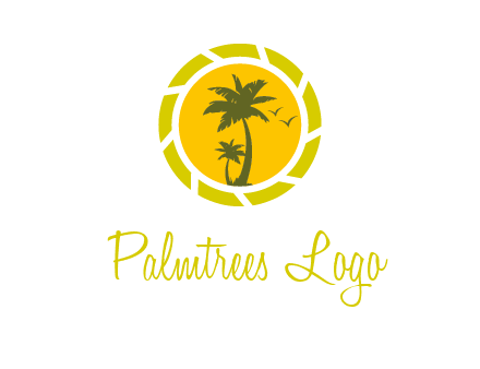 palm trees in sun shutter photography logo