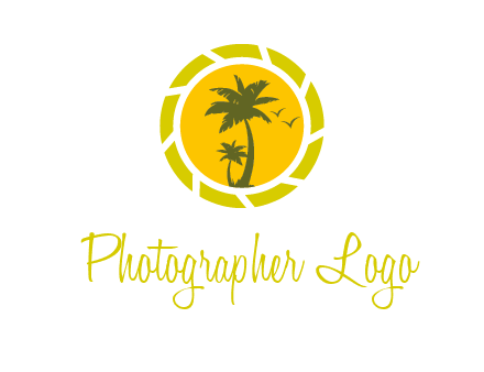 palm trees in sun shutter photography logo