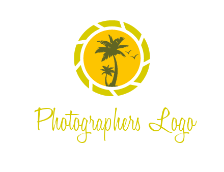 palm trees in sun shutter photography logo