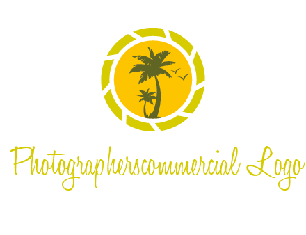 palm trees in sun shutter photography logo