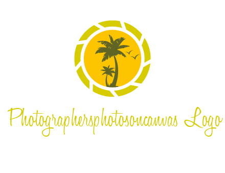 palm trees in sun shutter photography logo
