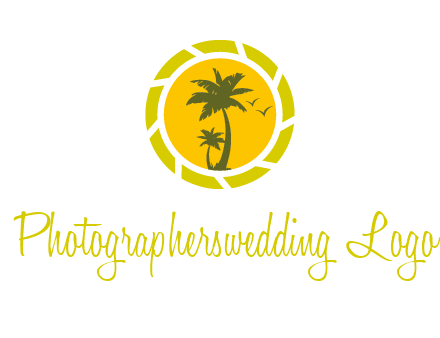 palm trees in sun shutter photography logo