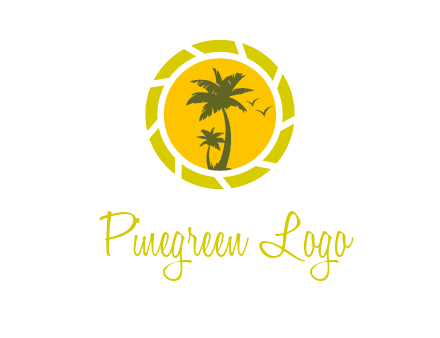 palm trees in sun shutter photography logo