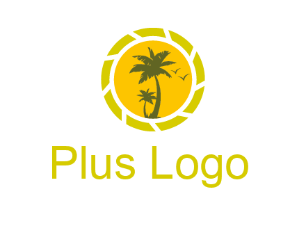 palm trees in sun shutter photography logo