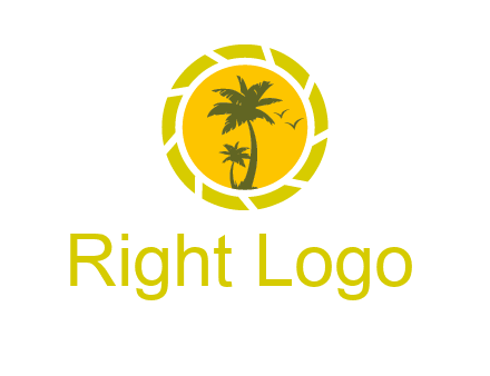 palm trees in sun shutter photography logo