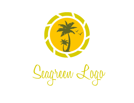palm trees in sun shutter photography logo