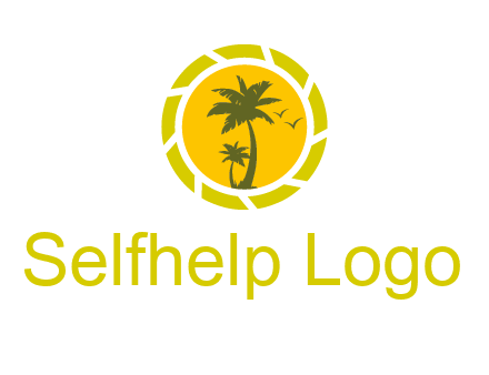 palm trees in sun shutter photography logo