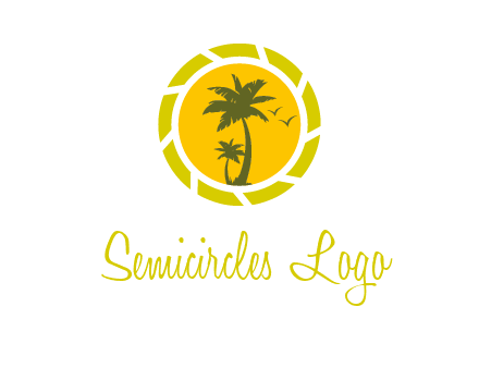 palm trees in sun shutter photography logo