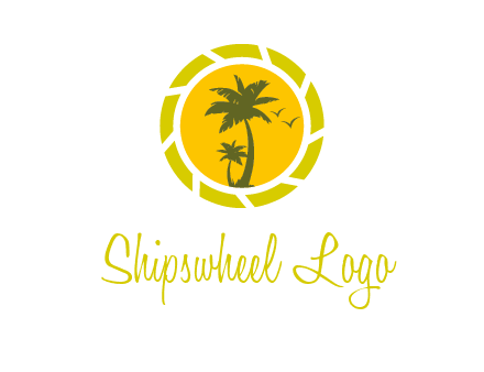 palm trees in sun shutter photography logo