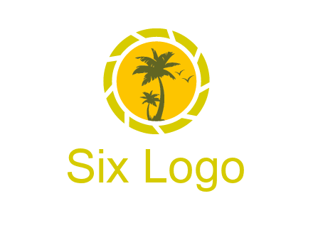 palm trees in sun shutter photography logo