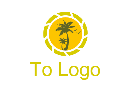 palm trees in sun shutter photography logo