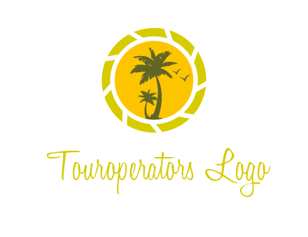 palm trees in sun shutter photography logo