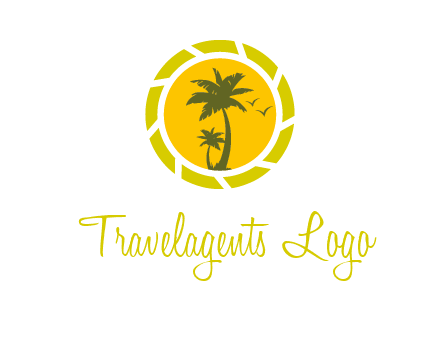 palm trees in sun shutter photography logo