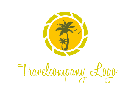 palm trees in sun shutter photography logo