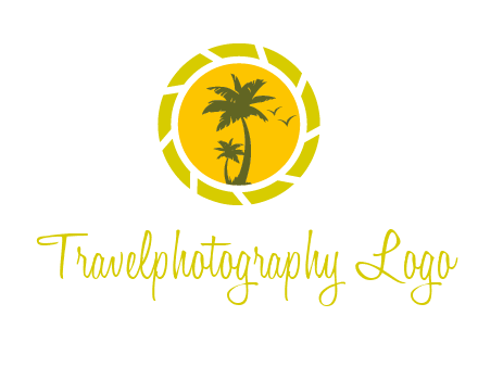 palm trees in sun shutter photography logo