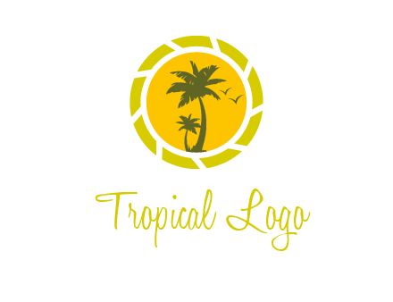 palm trees in sun shutter photography logo