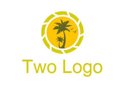 palm trees in sun shutter photography logo