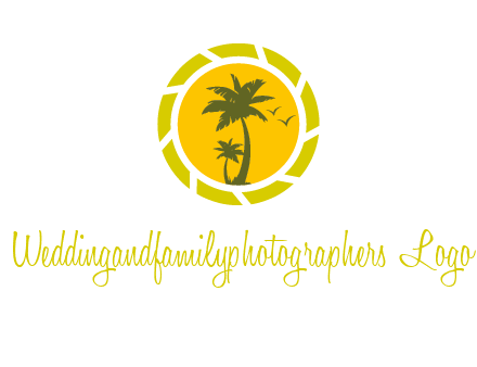 palm trees in sun shutter photography logo