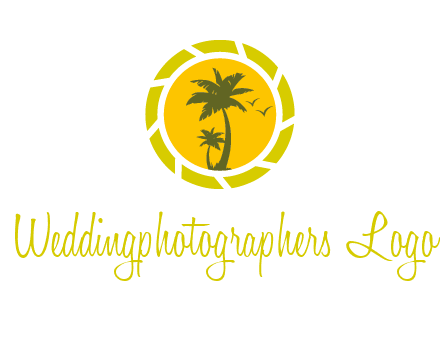 palm trees in sun shutter photography logo
