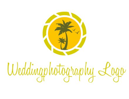 palm trees in sun shutter photography logo