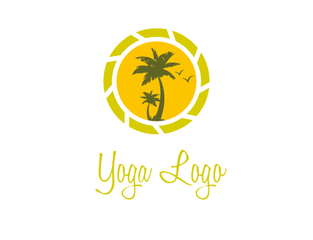 palm trees in sun shutter photography logo