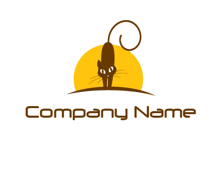 angry cat in front of sun logo