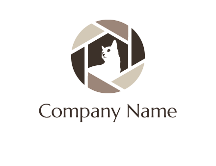 cat inside camera shutter logo