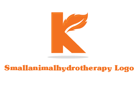 letter K incorporated with feather logo