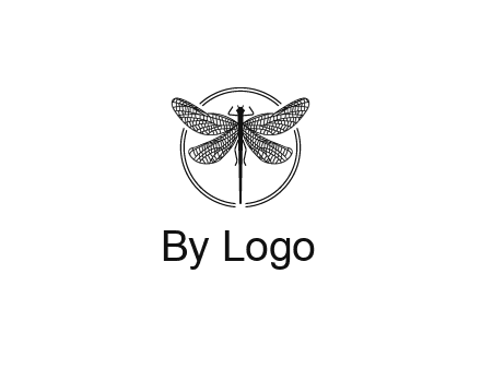 detailed dragonfly logo