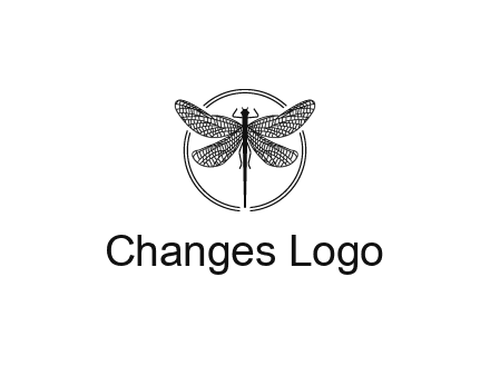 detailed dragonfly logo