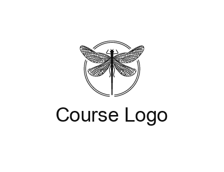 detailed dragonfly logo