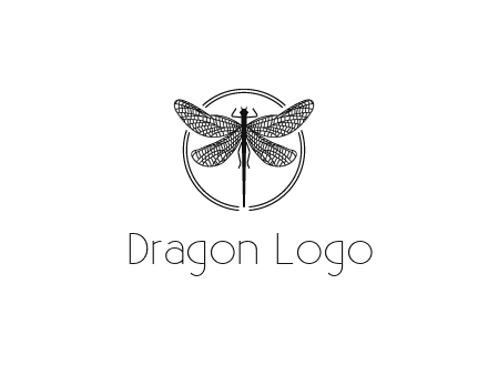 detailed dragonfly logo