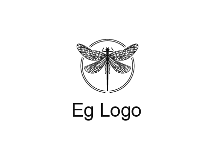 detailed dragonfly logo