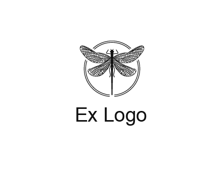 detailed dragonfly logo