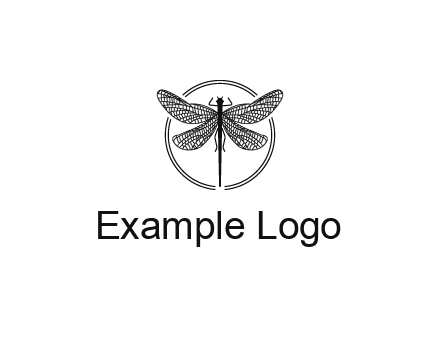 detailed dragonfly logo