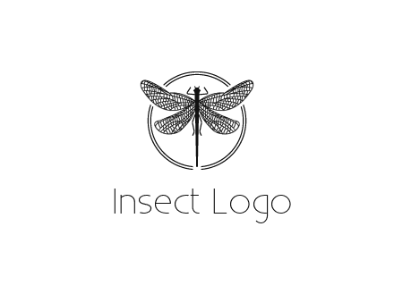 detailed dragonfly logo