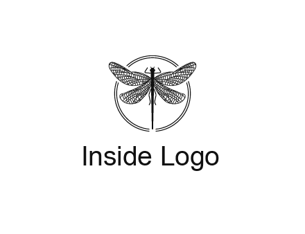 detailed dragonfly logo
