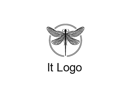 detailed dragonfly logo