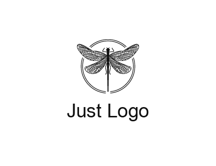 detailed dragonfly logo