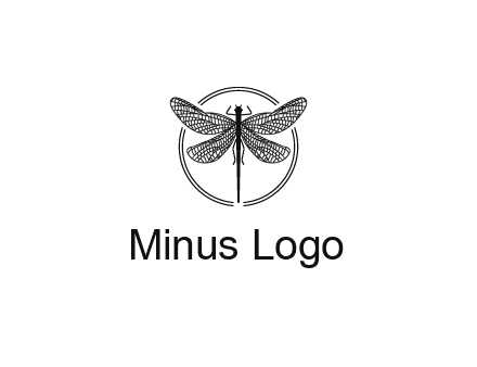 detailed dragonfly logo
