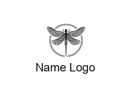 detailed dragonfly logo